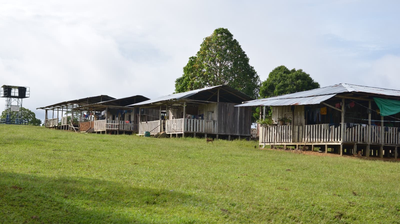 Comunidad Amazon Carbon 11