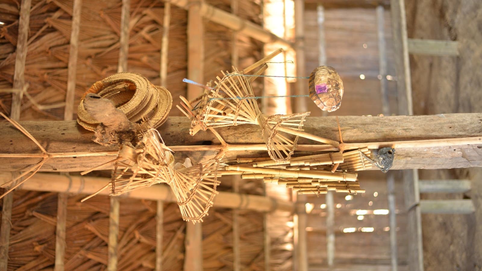 Comunidad Amazon Carbon 12