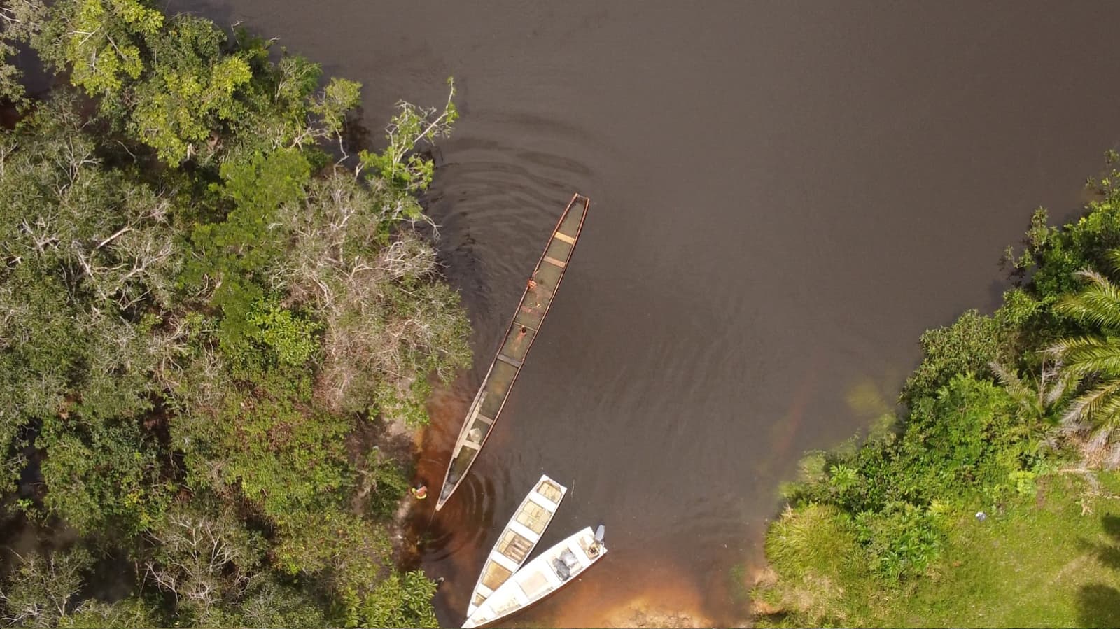 Comunidad Amazon Carbon 13