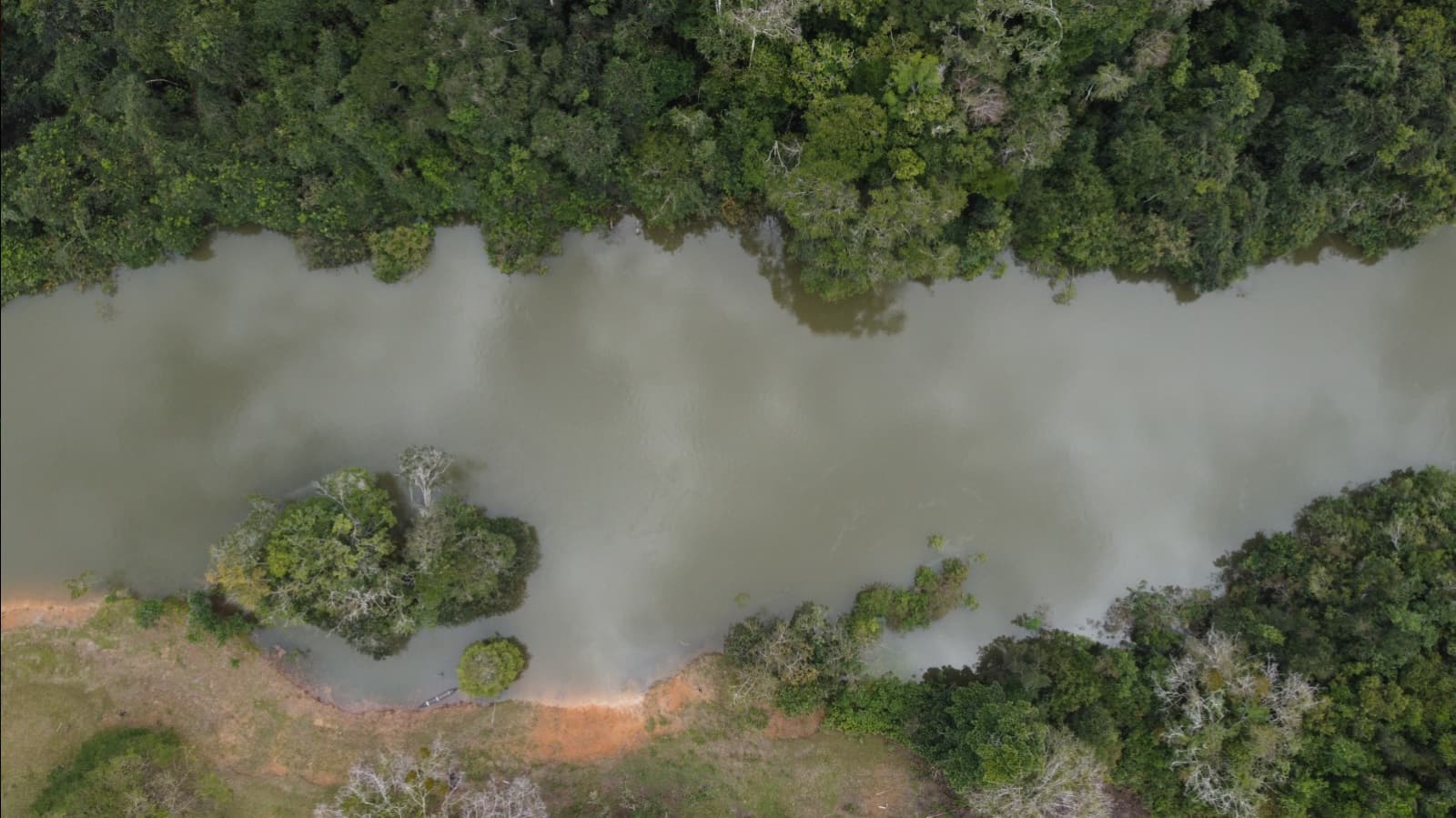 Comunidad Amazon Carbon 14