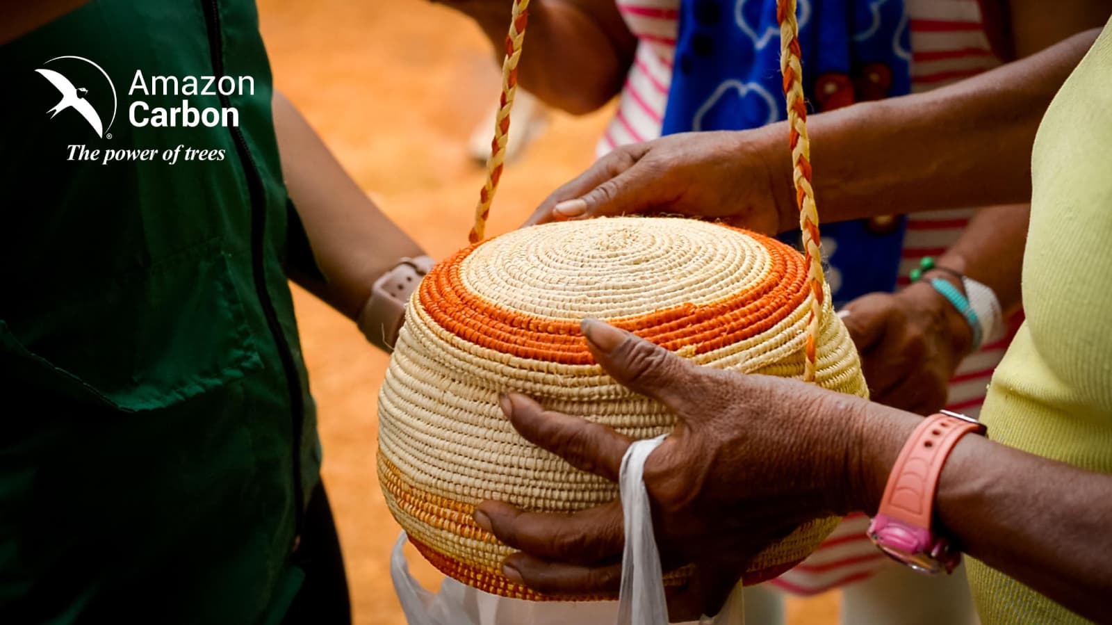 Comunidad Amazon Carbon 15