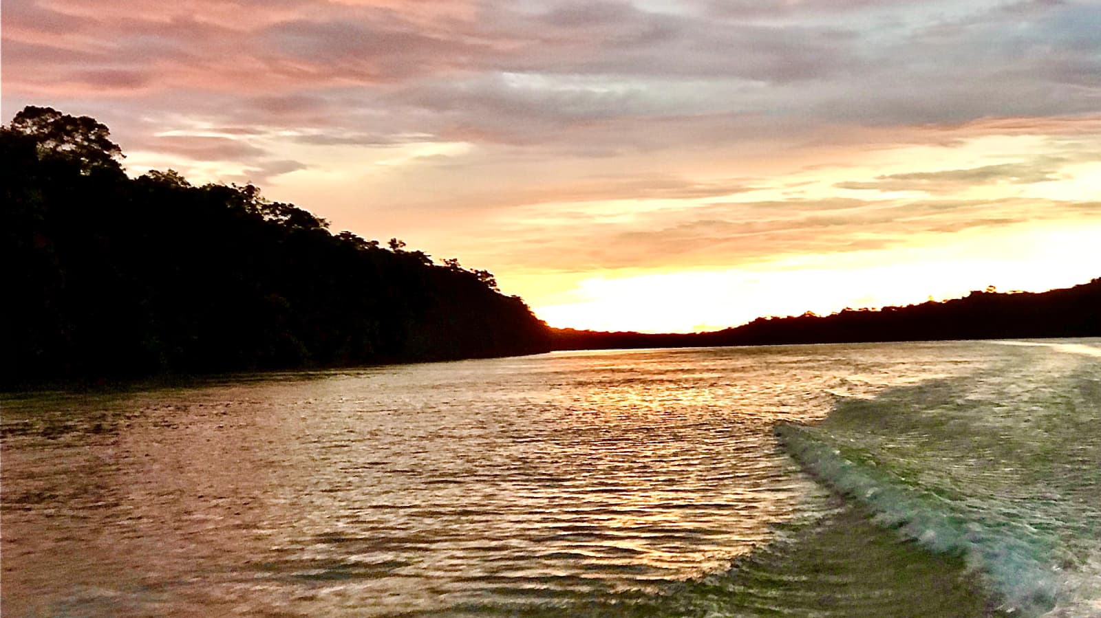 Comunidad Amazon Carbon 17