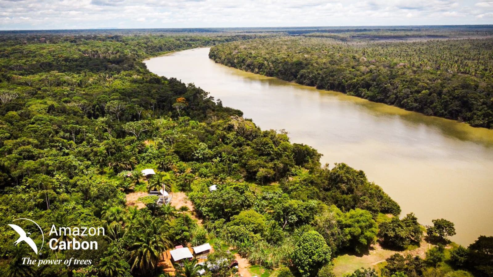 Comunidad Amazon Carbon 23
