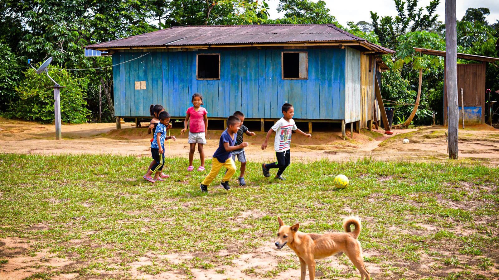 Comunidad Amazon Carbon 24