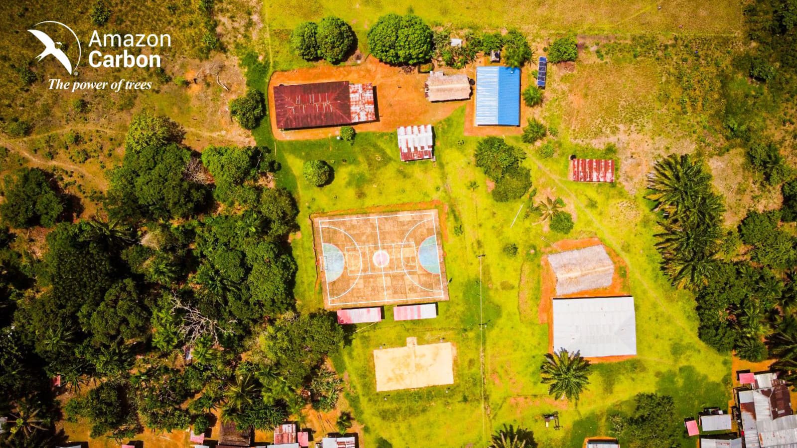 Comunidad Amazon Carbon 26