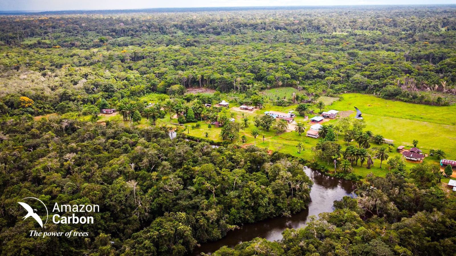 Comunidad Amazon Carbon 28