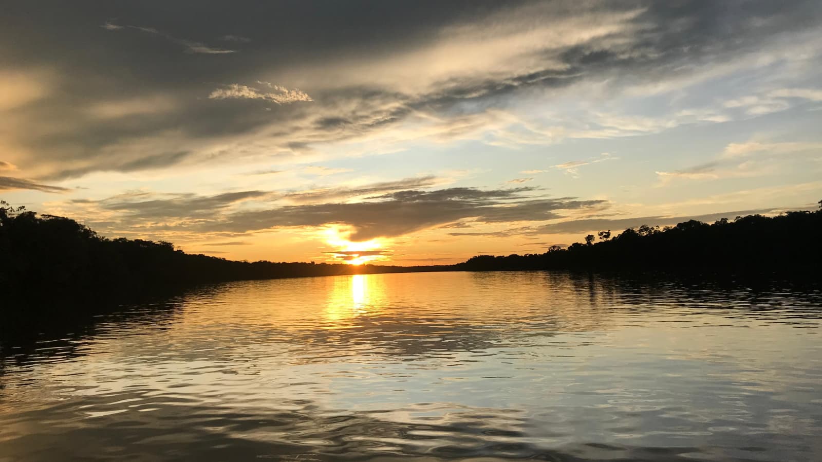 Comunidad Amazon Carbon 7