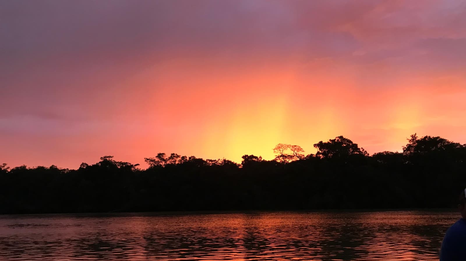 Comunidad Amazon Carbon 8