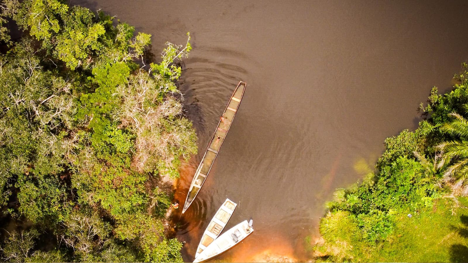 Comunidad Amazon Carbon 9