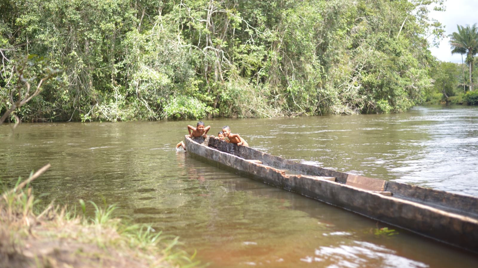 Comunidad Amazon Carbon 10
